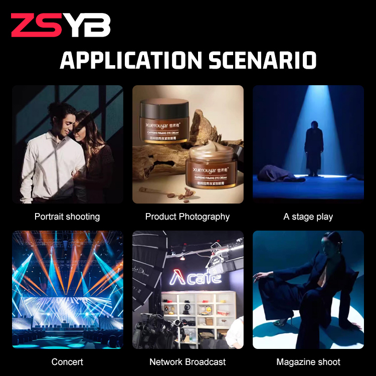 ZSYB YG-100 LED Snotlight