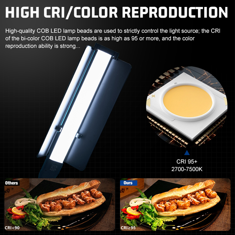 ZSYB YB300R RGB Light Wand